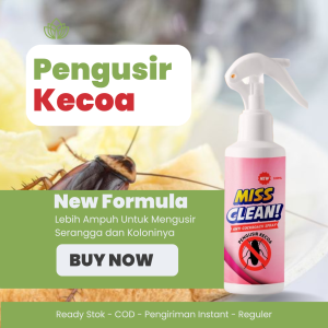 Miss Clean Pembasmi Kecoa Di Rumah dan Mobil