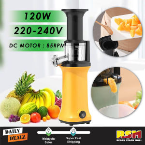 Portable Electric Juice Extractor Cold Press Juicer Machine Fruits Squeezer 120W / Pemerah Jus Elektrik
