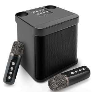 Karaoke Machine with 2 Wireless MicrophonePortable Bluetooth Speaker with HD Sound PA System Support Echo and Vocal CutUSBSD AUX Input for Party Meeting Wedding Home and Outdoor