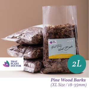 Pine Wood Barks (2L) (XL Size / 18-35mm) (Suitable for garden soil bed mulching Potted plant mulching etc)