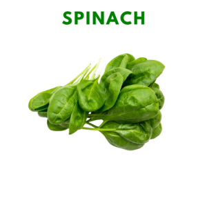 Vegetable Seeds Kamatis Pechay Talong Ampalaya Sibuyas Okra Sili