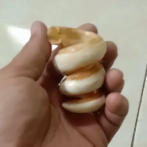 kalung tarbi mlingkar liontin