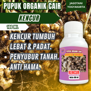 Pupuk Organik Cair Kencur 100 Ml Hormon Agar Subur Dan Penggemuk Tanaman By Jagotani Yogyakarta