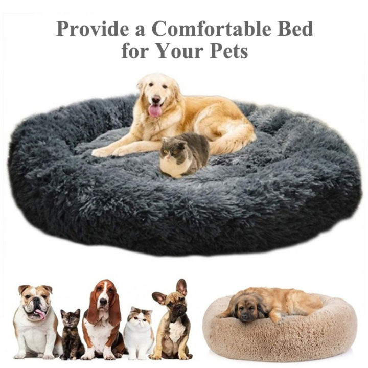 Round Calming Pet Dog Beds Comfortable Donut Cuddler kennel for small  medium Large Size Dog Kennel Ultra Soft Washable Labrador Cushion Bed  Golden