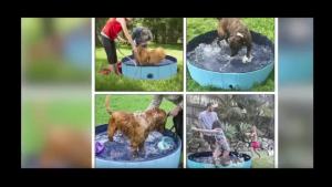 Pet Swimming Pool Large Dog Bath Tub Pvc Cat Play Pool Non-Slip High Quality Swimming Pool