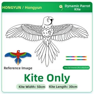 NALANILI 35cm Diều Đại Bàng Graffiti Dynamics Phim hoạt hình Nhựa Diều hình đại bàng lớn  Đồ chơi tự làm Diều chim bay Thể thao ngoài trời trong vườn