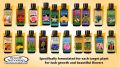 Growth Technology Orchid Focus Bloom Fertilizer with Seaweed Humic Acids and Fulvic Acids for Orchid Flowering. 