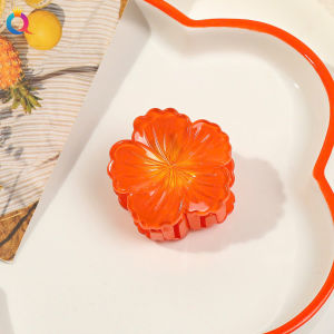 Bộ Kẹp Tóc Hoa Nở Nổi 3D Chuyển Màu (Ombre) – Nhẹ Nhàng Mà Xinh Hết Nấc 🎀🌼