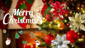 24PCS15CM Christmas Decorations Flower 6 COLOR 【100 High Quality】2023