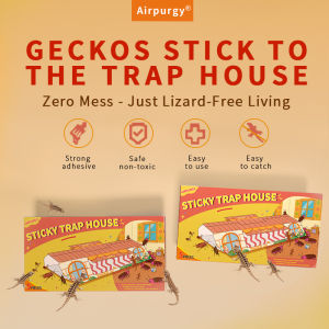 5 Boxes (5 Sheets/Box) Super Adhesive Gecko Trapping House - Physical Capture Ready-To-Use | Indoor & Outdoor Pest Control for Home & Garden