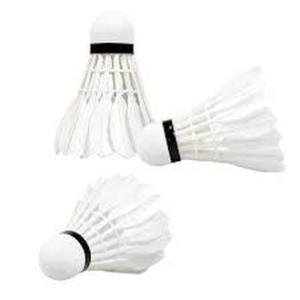 Badminton racket set 2pcs double racket with free shuttlecock for student beginners