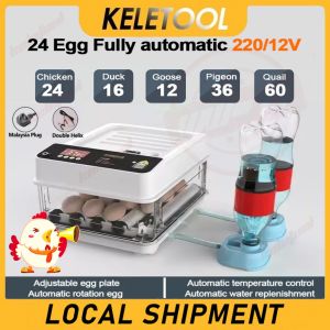 Constant temperature chicken incubator egg incubator penetrating incubator automatic incubator
