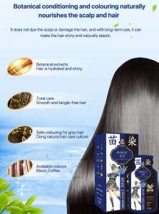 Dongyi Wash and Dye Dong Ethnic Hair Dye Cream Bagged Plant Foam Hair Coloring Shampoo