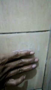Biang Citrun pembersih kerak dinding kamar mandi 1000 gram