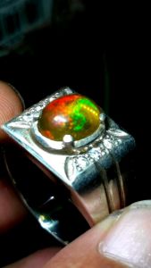 kalimaya asli/kalimaya natural/kalimaya jarong siang malam