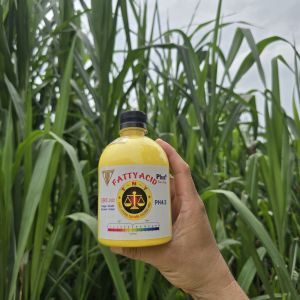 Dung dịch pha uốn duỗi nhuộm ACID BÉO ĐẶC PLUS+ -500ml khoá màu chống xót da đầu