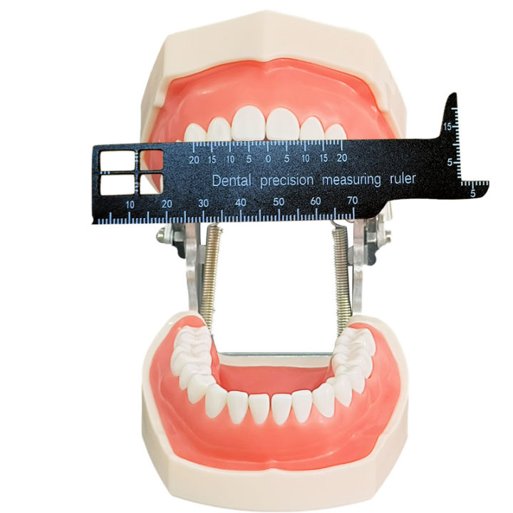 Dental Finger Ruler Endo Gauge Span Measuring Scale Ring Endodontic - View #2