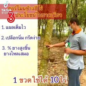 ช้างฮีโร่ สารบำรุงหน้ายาง น้ำยางไหลเวียนดี กรีดง่าย คุณสมบัติ