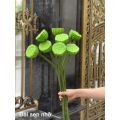 Đài Sen, Lá Sen, Nụ Sen Gương Sen Giả Trang Trí. 