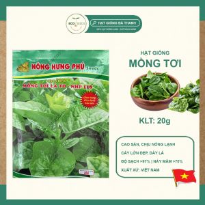[EcoSeeds] Combo 2 Gói Hạt Giống Mồng Tơi Lá To Nông Hưng Phú - Cao Sản Sinh Trưởng Mạnh - Gói 20g