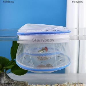 Star กล่องแยกปลาขนาดเล็กกล่องเพาะพันธุ์ปลาอุปกรณ์ดูแลปลา
