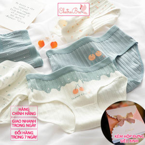 Set 5 quần lót nữ cotton mềm mại xanh trắng chery vải kháng khuẩn