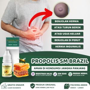 Propolis sm 100% Asli Obat Hernia Untuk Anak Turun Berok Usus Menonjol Hernia Inguinalis Benjolan di Perut