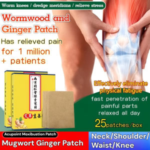 Mugwort Ginger SelfHeating Patch Moxa Patch Heating Patch Mugwort Patch SelfHeating Ginger Patch