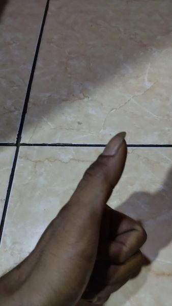 Buyer review video 2