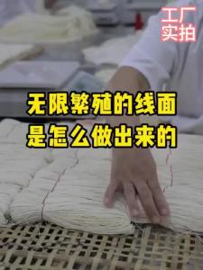 【Ship in 24H】手工无盐面线超细线面无限繁殖龙须面长寿面福建线面独立包零添加 最新日期