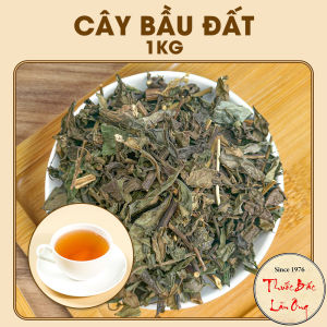 Cây bầu đất tím khô 1kg bầu đất tía cải thiện nội tiết tố điều hòa kinh nguyệt nám tàn nhang