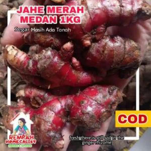 jahe merah segar 1kg-jahe merah medan-jahe merah segar 1kg super-rempah herbal-jahe segar-jahe merah original-wedang jahe-jahe merah super 1kg-jahe merah asli-jahe merah
