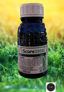 Fungisida Score 250 EC (Difenokenazol 250 g/l) 250 ml