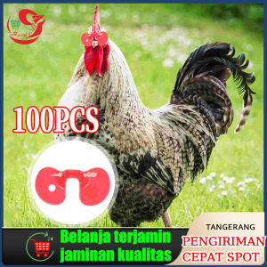 Kacamata Ayam/Chicken Glasses Kaca Mata Ayam Kacamata Ayam