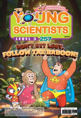 The Young Scientists 2026 Level 3 - 257 DONT GET LOST FOLLOW THE BABOON!