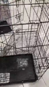 Spacious Cat Villa Cage Indoor Double/Triple Layer Wire Enclosure for Cats