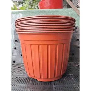 Combo 2 cái chậu nhựa trồng cây vành cứngmàu nâubền đẹp dường kính 20x17cm
