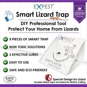 9 Pcs Lizard (Cicak/Gecko) Sticky Smart Trap / Lizard Killer