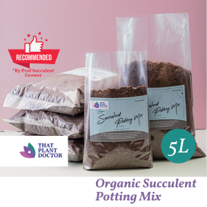 Organic Succulent Potting Mix (5L / 2KG) (Cactus Haworthia Echeveria Aloe Agave)