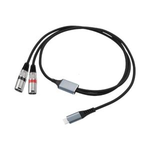 Kênh đôi xlrs Cáp đầu ra từ loại USB C với độ phân giải âm thanh 32bit cho loa powereds và hệ thống sân khấu