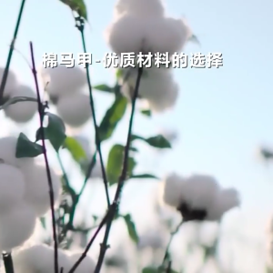 Phụ Nữ Mùa Đông Sáng Bóng Rắn Áo phao Dây Kéo Đứng Cổ Áo Không Tay Ấm Độn Bông Gilet Áo Khoác có túi