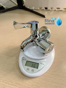 Vòi củ sen tắm lạnh đồng thau xi bóng Củ sen bóng RINA RN8907 Củ sen tắm lạnh tay cá