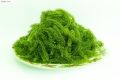 Rong nho tách nước 100g. 