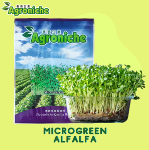 100gm Microgreen Seeds Hydroponic Sprouting – Wheatgrass Broccoli Red Radish Radish Tatsoi Alfalfa