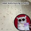 obat kutu kucing tabur paling ampuh. 