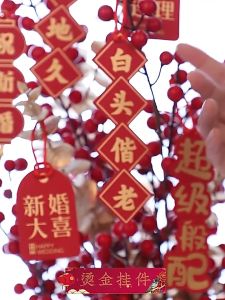 Chinese New Year Pendants Potting Decoration Lantern Shape Pendants CNY Decor 新年裝飾 2026新年绿植挂件过年贺年装饰小挂件发财树盆栽吊牌春节氛围布置