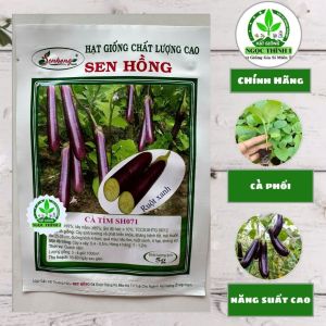 Hạt Giống Cà Tím SH071 SEN HỒNG (Gói 5gr) - Date mới