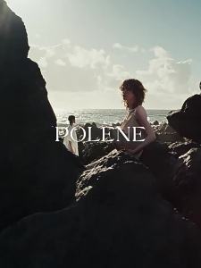 (Ac) France pol Wing Bag Tote Bag Retro European and American Niche Bucket Handbag Large Bag