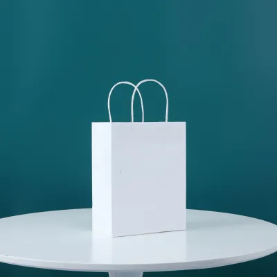Paper Bag Shopping Bag Gift Bag Retail Bag Wedding Birthday Bag Goodies Bag Doorgift Bag Party Bag