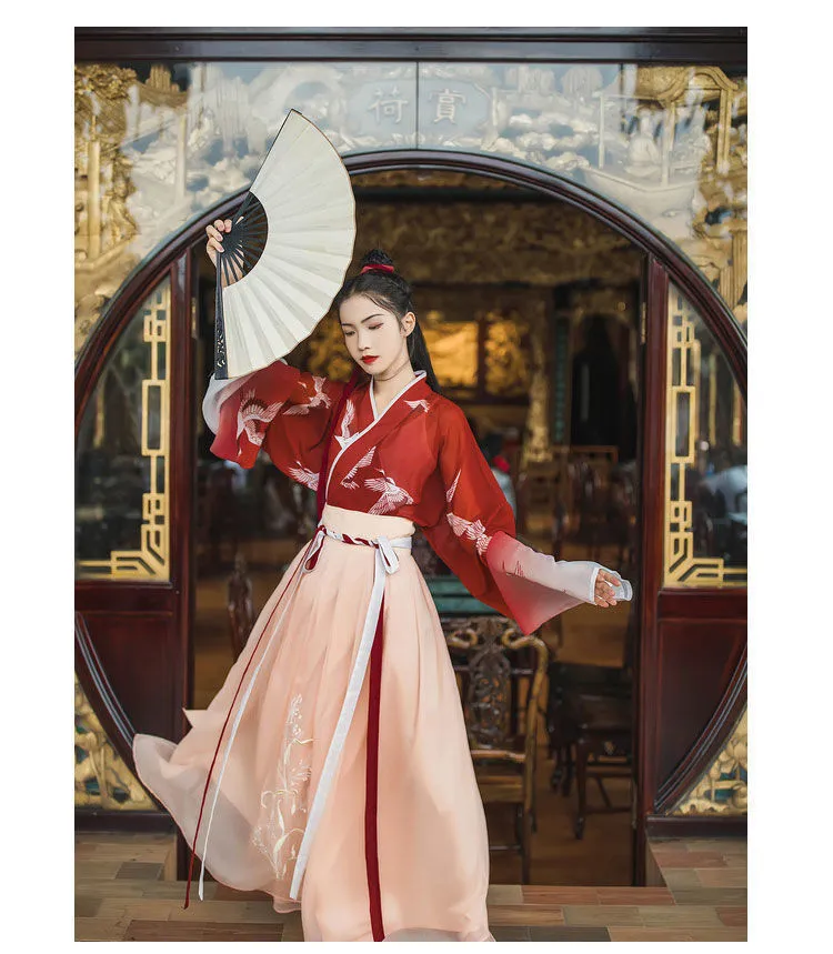 Chinese Female Clothes Traditional Vintage Dresses Han Element Dress -  Hanfumodern